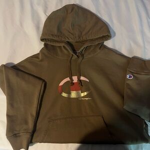 Brown Champion Hoodie Size Large Plain Back